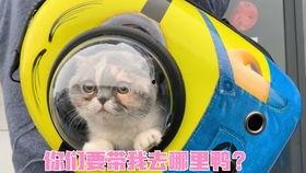 国产超级大香蕉